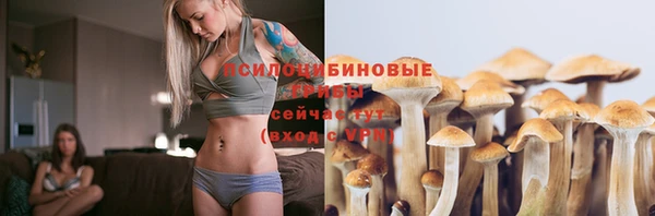 ПСИЛОЦИБИНОВЫЕ ГРИБЫ Алексеевка