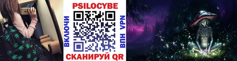 Псилоцибиновые грибы Psilocybine cubensis  Ковров 
