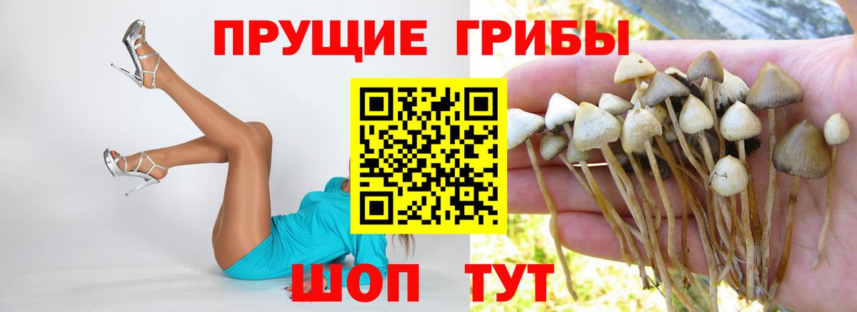 Псилоцибиновые грибы MAGIC MUSHROOMS  Вход с VPN  Ковров 