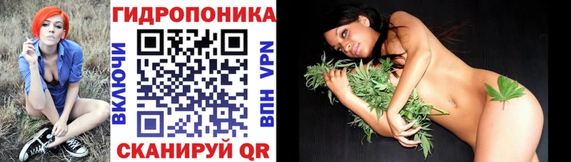 Конопля марихуана  Ковров 